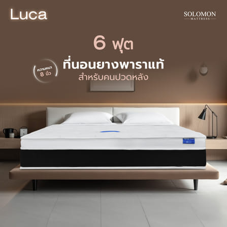 ที่นอน 6 ฟุต SOLOMON รุ่น LUCA หนา 8 นิ้ว_9